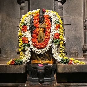 Meet your Posher, Kerry